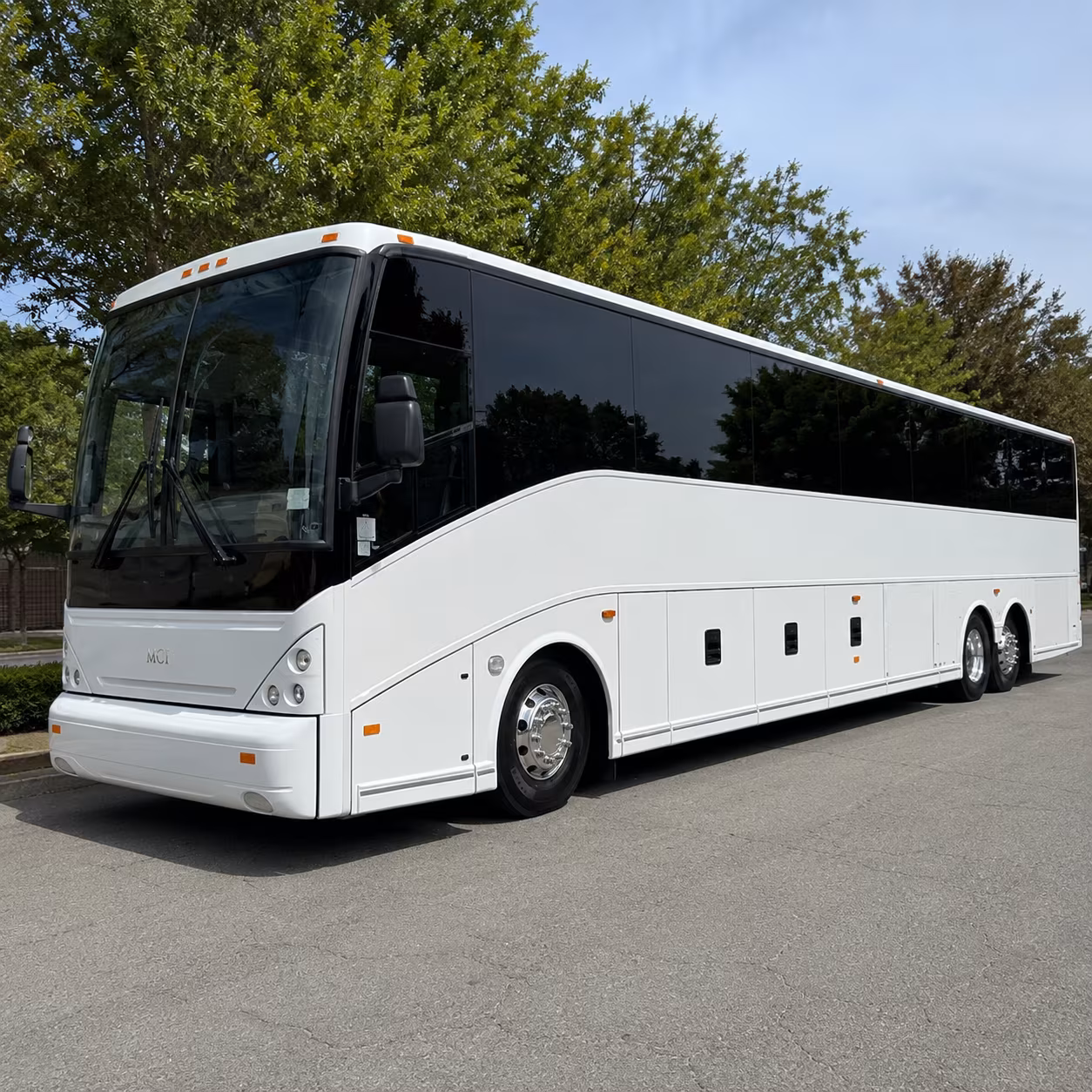 elizabeth family reunion and vacation bus rentals