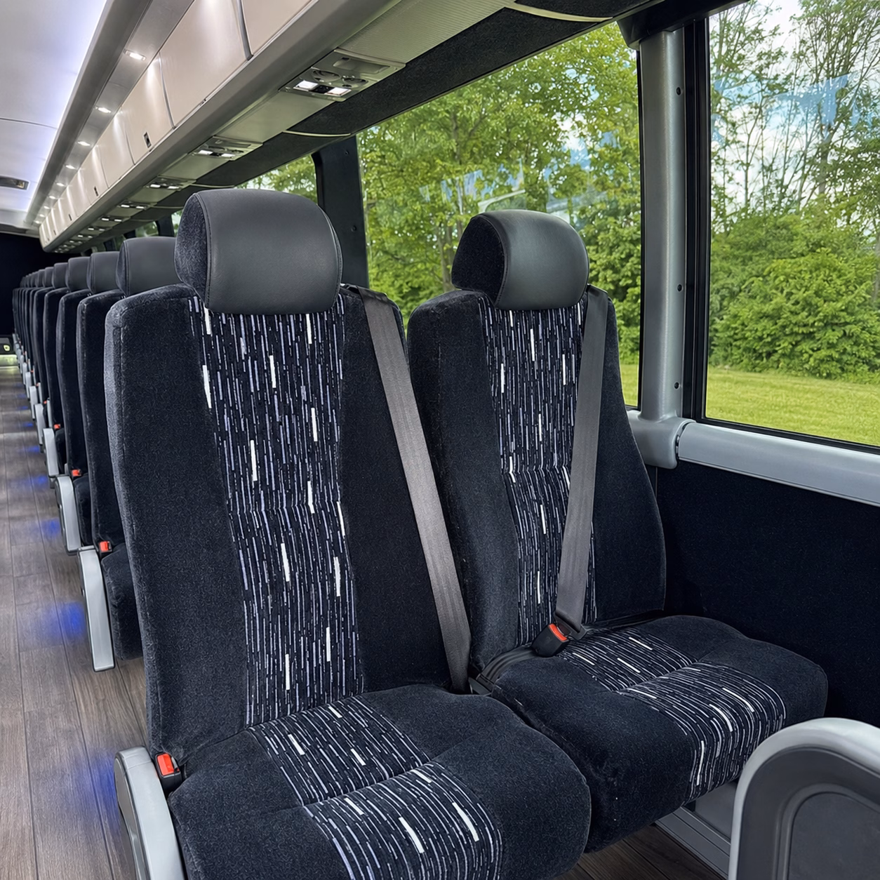 elizabeth historic tour bus rentals
